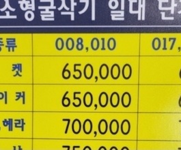 인천영종도 미니포크레인 포크레인 미니굴삭기 소형장비 임